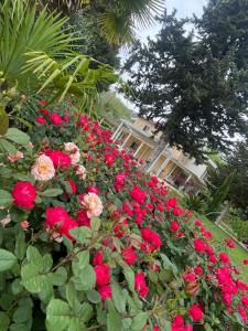 Villa Berenice House and Relax