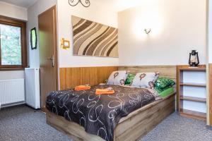 Willa Sezamek blisko szlaków i centrum