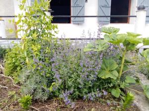 Appartements le lys dans la vallee d ustou : photos des chambres