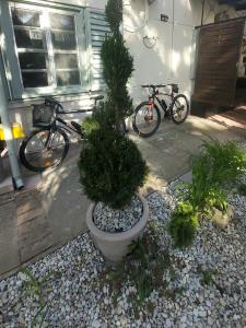 MIDI ROOM, BEACH free parking, terrace, AC, wifi