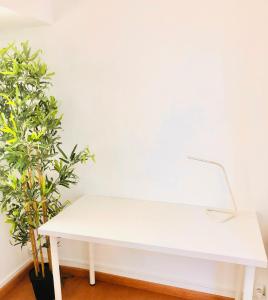 Cantinho do Picadeiro