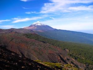 New Helen Sunny Holidays Apartment