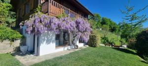 Chalet Sophie - Luxury Chalet