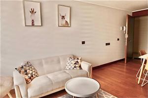 Departamento para 2 Las Condes Lavandería