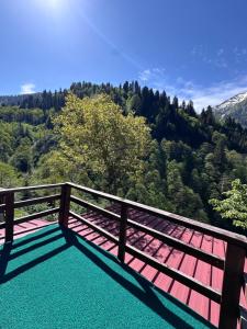 DERVİŞOĞLU DAĞ EVİ