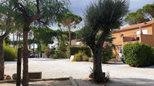 Appartements ARGELES sur MER APPT ETAGE CALELLA TOUT CONFORT JARDIN PISCINE PARKING WIFI : photos des chambres