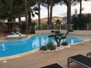 Appartements ARGELES sur MER APPT ETAGE CALELLA TOUT CONFORT JARDIN PISCINE PARKING WIFI : photos des chambres