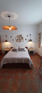 B&B / Chambres d'hotes Le Petit Patio : photos des chambres