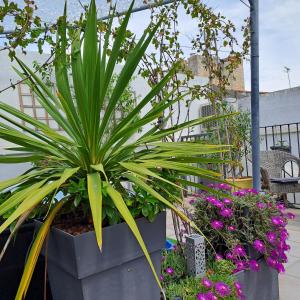 B&B / Chambres d'hotes Le Petit Patio : photos des chambres