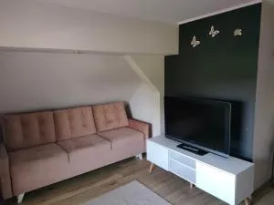 Apartament na poddaszu Pola - Lędziechowo