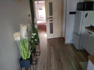 Apartament na poddaszu Pola