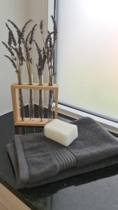 Appartements Le Loft de Village-Neuf - Residence 4 etoiles : photos des chambres