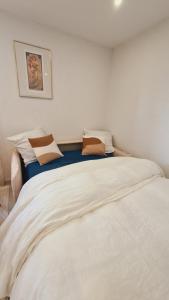 Appartements Le Loft de Village-Neuf - Residence 4 etoiles : photos des chambres