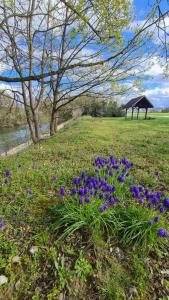 Appartements Le Loft de Village-Neuf - Residence 4 etoiles : photos des chambres