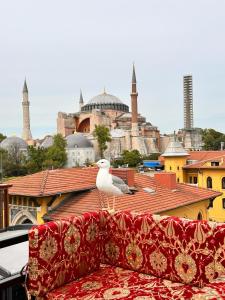 By Kinyas Hotel