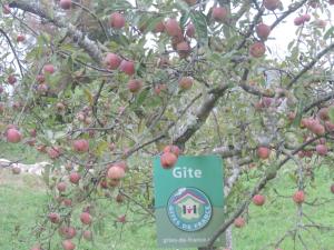 Maisons de vacances gite MOULIN LE PETIT NID : photos des chambres
