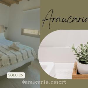 ARAUCARIA Resort - Ubytování bez kategorie ve městě San Rafael