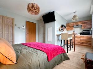 Appartements Charmant studio avec parking : photos des chambres