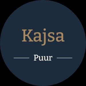 Wad & Loft unieke paalwoning vlakbij de Waddenzee