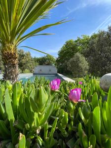 Pigeonnier des Banons