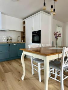 Hisa Rejmr with private parking