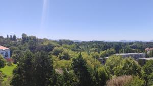 Appartements Appartement T4 Bayonne : photos des chambres