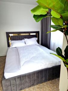 Azzur Studios Aparthotel