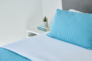 Sand Lily Villa Mykonos