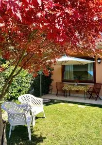 MG CivicoSei - Cassazza