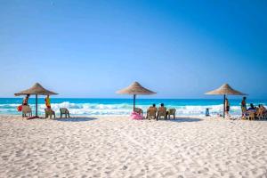 شاليه عايدة بيتش للعائلات فقط