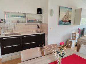 Apartment Paša