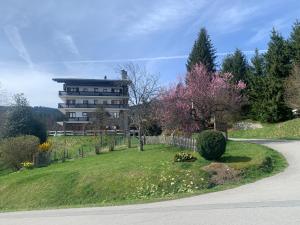 Appartements appartement T2 pour 6 personnes a Combloux : photos des chambres