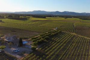 Maisons de vacances Gite les Caunes : photos des chambres