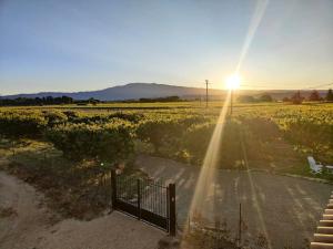 Maisons de vacances Gite les Caunes : photos des chambres