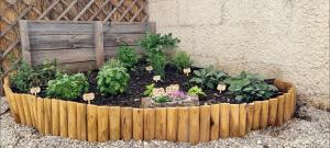 La Terrazza dei Nonni - Torre Specchia