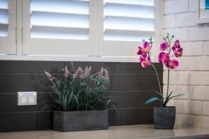 Bondi Beach Spacious Apartment