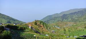 Penginapan Homestay Sikunir - Bukit Bintang Dusun Musilan