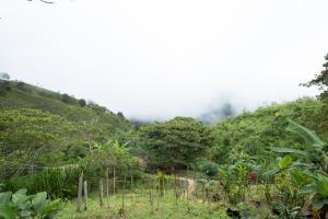 Paraiso de la sierra