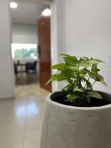 Departamentos Güemes