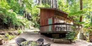 Lofted Studio Cabin in the Redwoods! - Notleys Landing