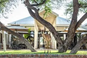 Otjibamba Lodge - Otjiwarongo