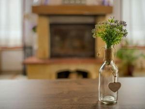 Claudia Comfortable holiday residence