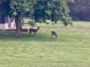 Secluded Countryside Home, Hot Tub, Onsite Pub, Pool Table, Sleeps upto 13, Perfect for a family get together