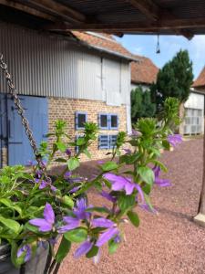 Maisons de vacances La Grange aux Tommies - Pays du Coquelicot : photos des chambres