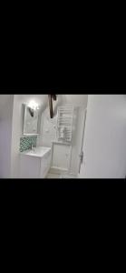 Le bateau ivre- historique