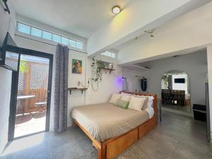 Studio Paloma - Zona Romantica