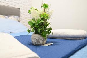 Terra Sinus Luxury apartment