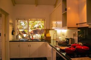 The Bali Cottage, Voëlklip