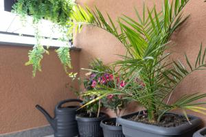 Kate Your cozy Oasis with private parking and balkony