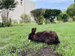 2 Bedroom Duplex Plettenberg Bay